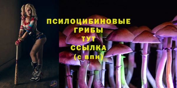 крисы Алексеевка
