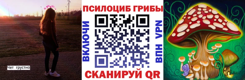 хочу наркоту  Спасск  Псилоцибиновые грибы MAGIC MUSHROOMS 